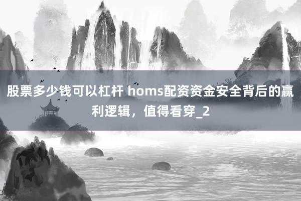 股票多少钱可以杠杆 homs配资资金安全背后的赢利逻辑，值得看穿_2