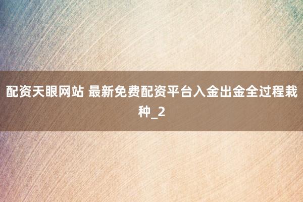 配资天眼网站 最新免费配资平台入金出金全过程栽种_2