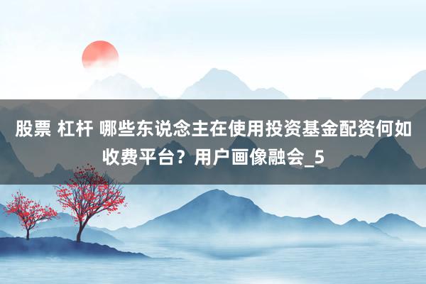 股票 杠杆 哪些东说念主在使用投资基金配资何如收费平台？用户画像融会_5