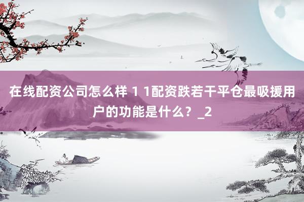 在线配资公司怎么样 1 1配资跌若干平仓最吸援用户的功能是什么？_2