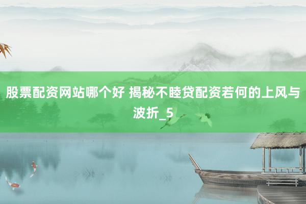 股票配资网站哪个好 揭秘不睦贷配资若何的上风与波折_5