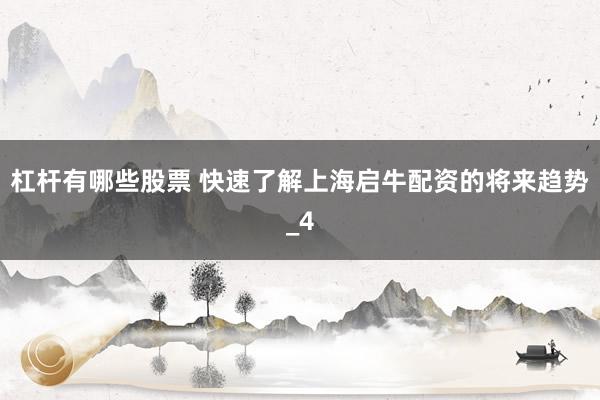 杠杆有哪些股票 快速了解上海启牛配资的将来趋势_4