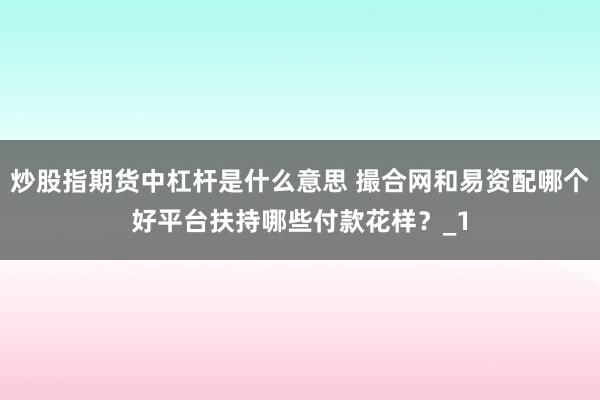 炒股指期货中杠杆是什么意思 撮合网和易资配哪个好平台扶持哪些付款花样？_1