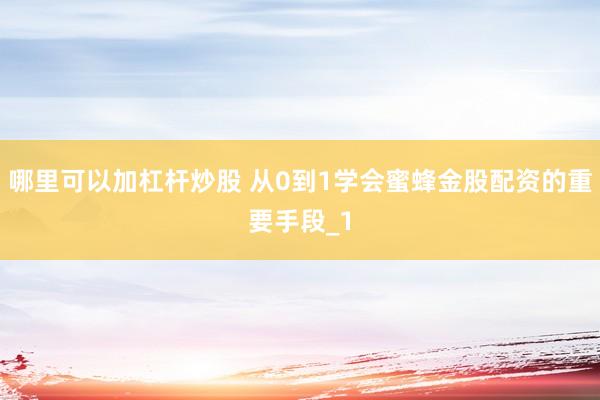 哪里可以加杠杆炒股 从0到1学会蜜蜂金股配资的重要手段_1