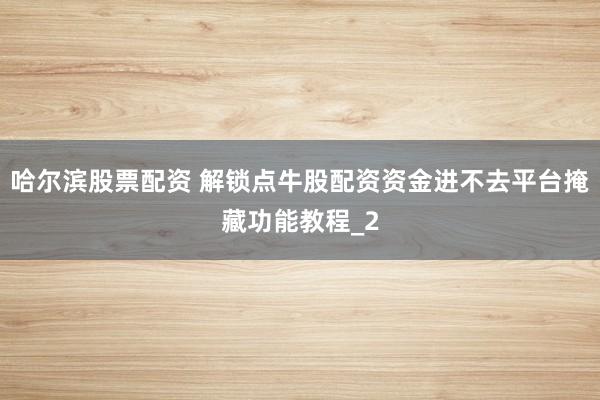 哈尔滨股票配资 解锁点牛股配资资金进不去平台掩藏功能教程_2