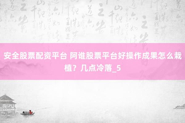 安全股票配资平台 阿谁股票平台好操作成果怎么栽植？几点冷落_5