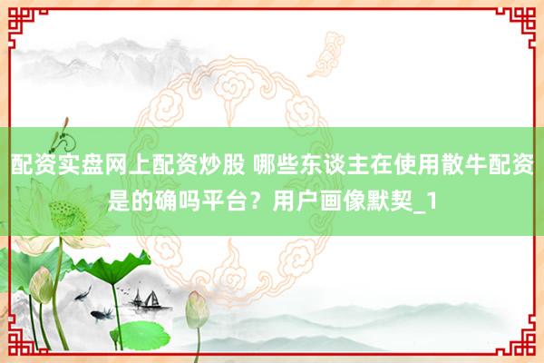 配资实盘网上配资炒股 哪些东谈主在使用散牛配资是的确吗平台？用户画像默契_1