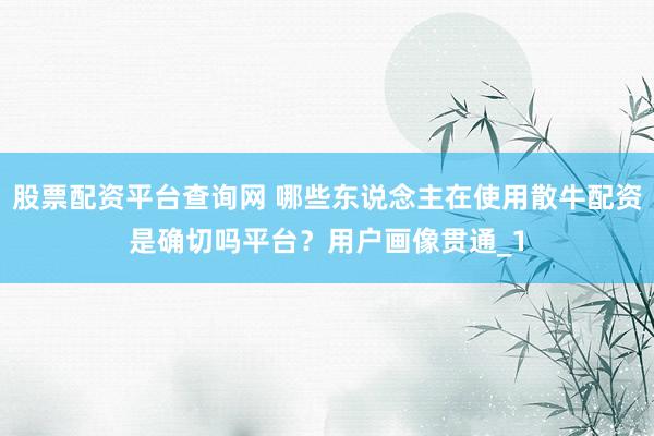 股票配资平台查询网 哪些东说念主在使用散牛配资是确切吗平台？用户画像贯通_1
