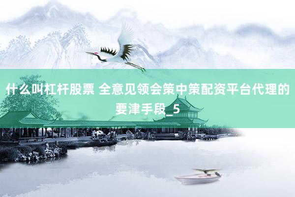 什么叫杠杆股票 全意见领会策中策配资平台代理的要津手段_5