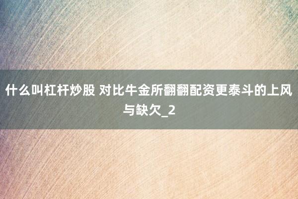 什么叫杠杆炒股 对比牛金所翻翻配资更泰斗的上风与缺欠_2