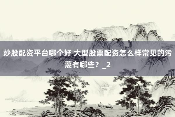 炒股配资平台哪个好 大型股票配资怎么样常见的污蔑有哪些？_2