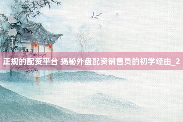 正规的配资平台 揭秘外盘配资销售员的初学经由_2