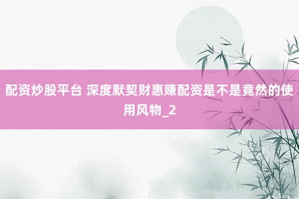 配资炒股平台 深度默契财惠赚配资是不是竟然的使用风物_2
