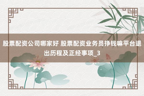 股票配资公司哪家好 股票配资业务员挣钱嘛平台退出历程及正经事项_3