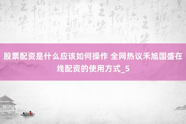 股票配资是什么应该如何操作 全网热议禾旭国盛在线配资的使用方式_5